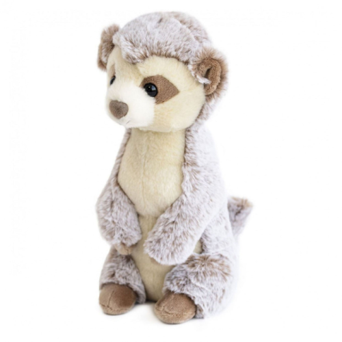 HO2954 SURICATA