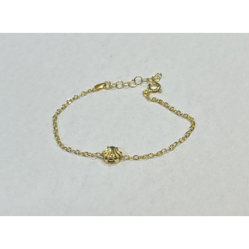 8128 PULSEIRA VIEIRA...